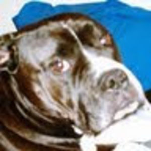 Meet your Posher, Patsy